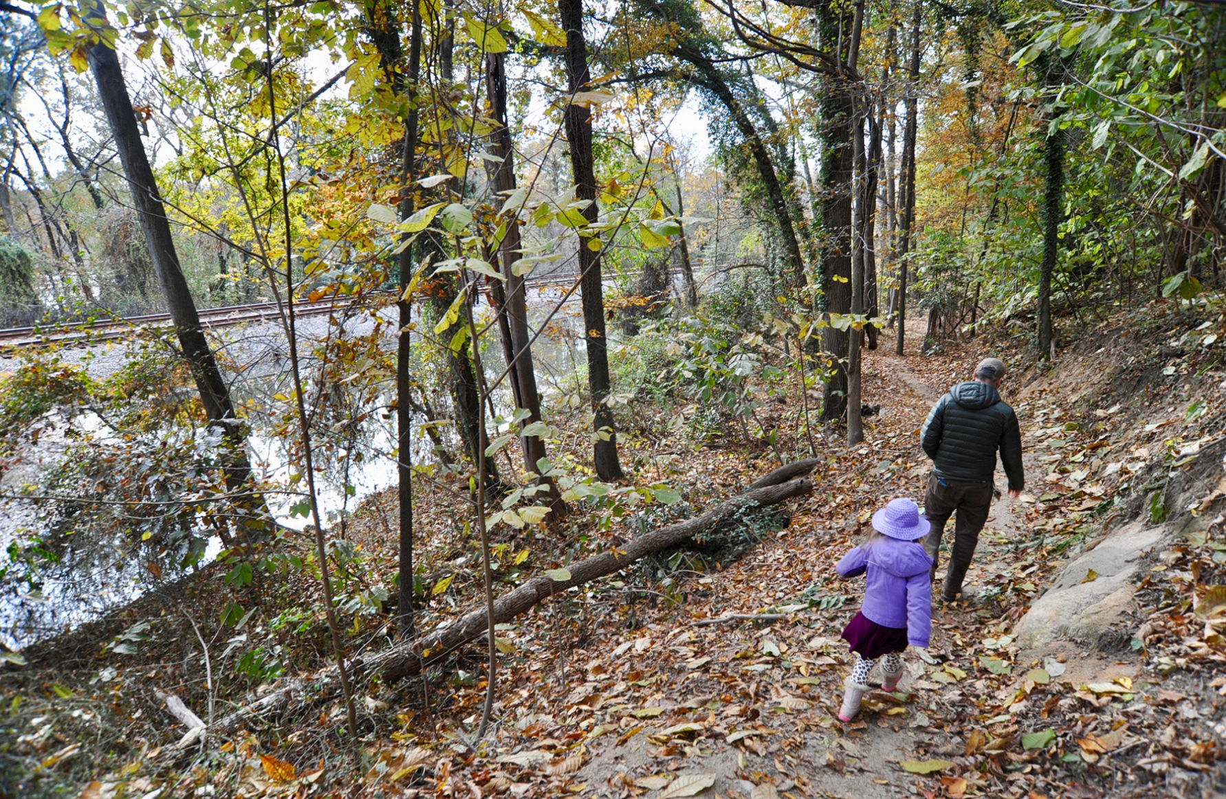 Hiking trail near the James River in Richmond